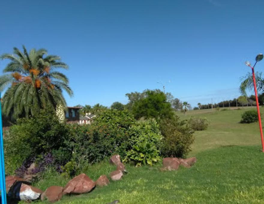 Vista del parque